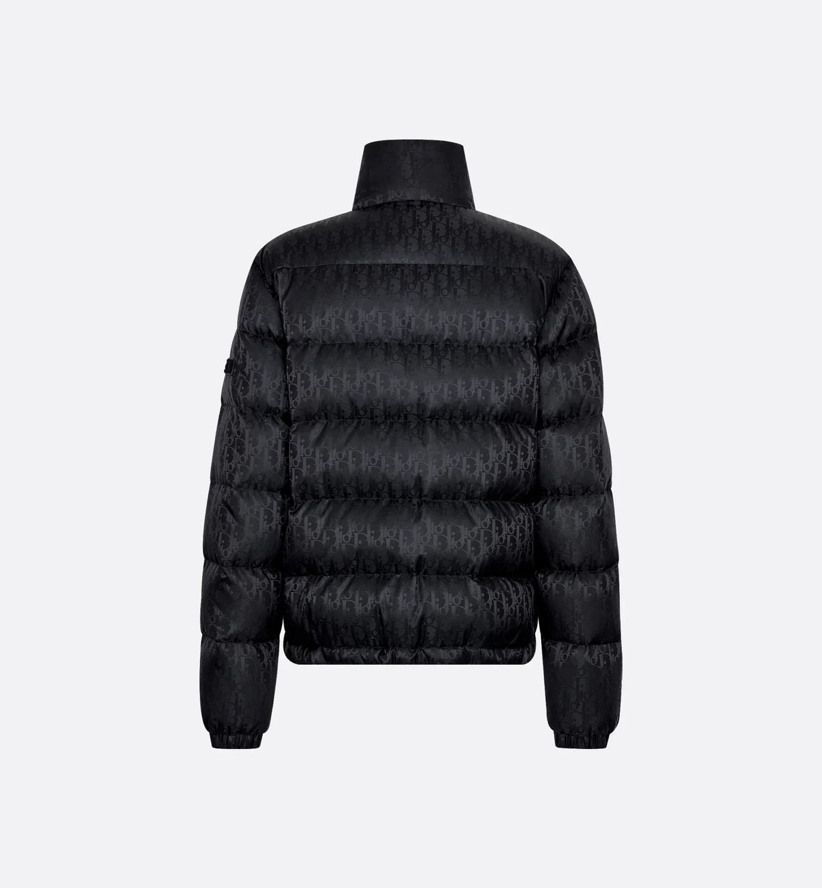 Dior Oblique Down Jacket
